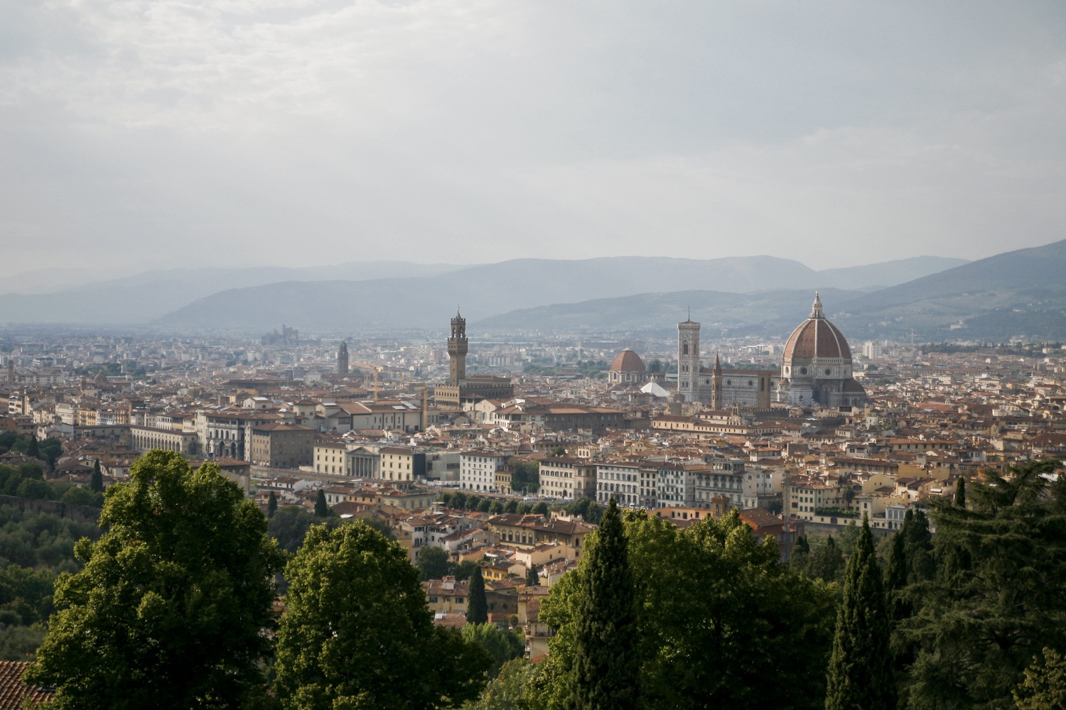 Florencja widok