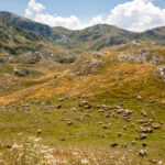 Ucieczka w góry – Durmitor i niezwykłe cmentarzysko